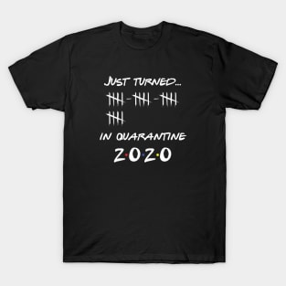 Just Turned 20 In Quarantine Humor Birthday T-Shirt